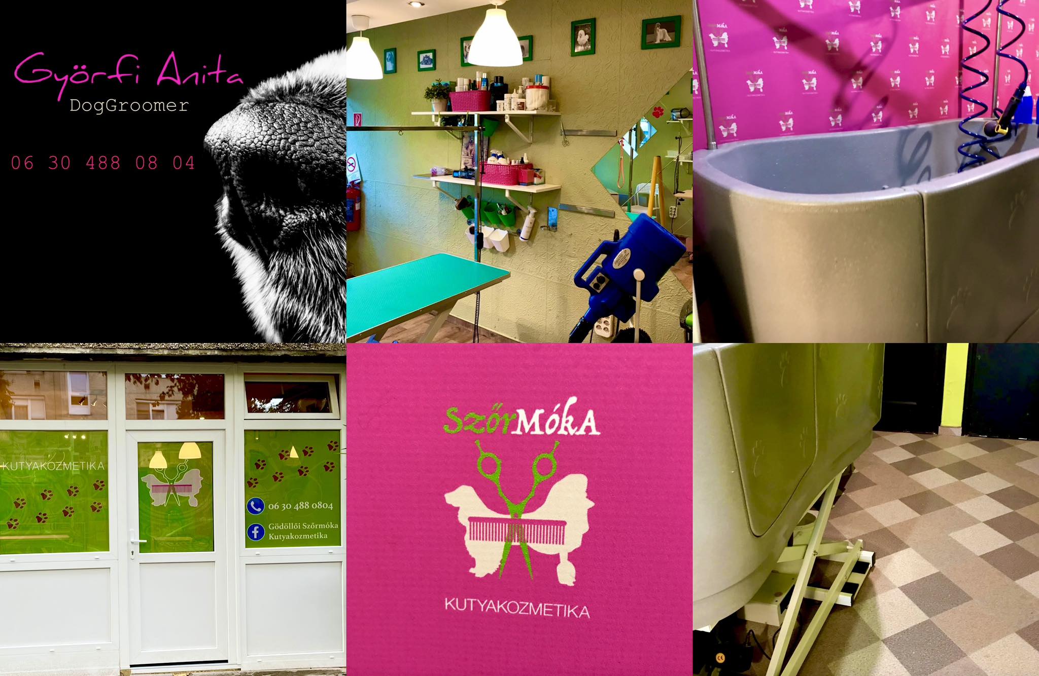 Fehérló... - Fehérlófia Kennel - bronzkoszorús mestertenyészet