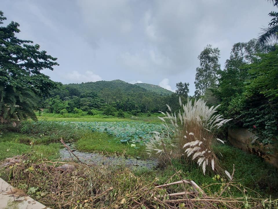 Chhatna Forest RANGE Office | Jhantipahari