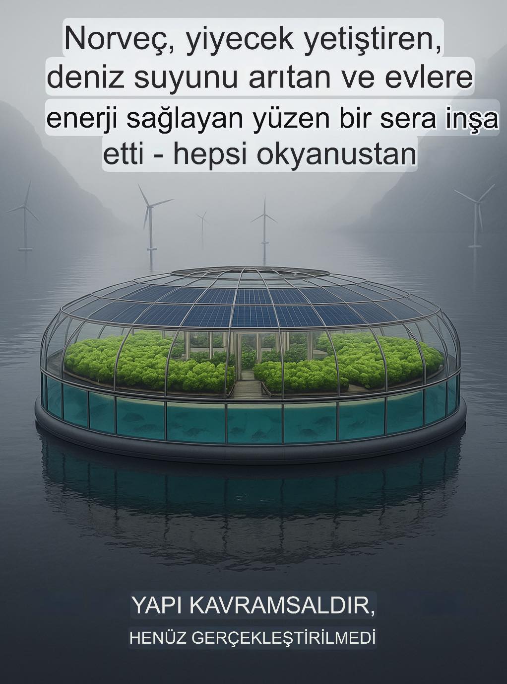 Okyanus Üzerinde Tarım:... - Hayatta En Hakiki Mürşit İlimdir | Facebook