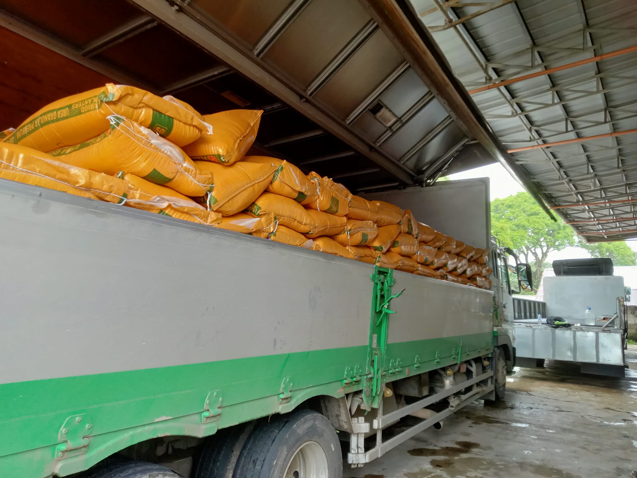 Green Rice Trading and Poultry Supplies | Caticlan