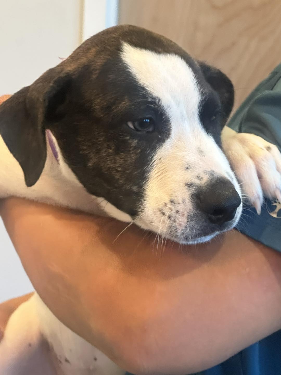 Florida - Male | Facebook