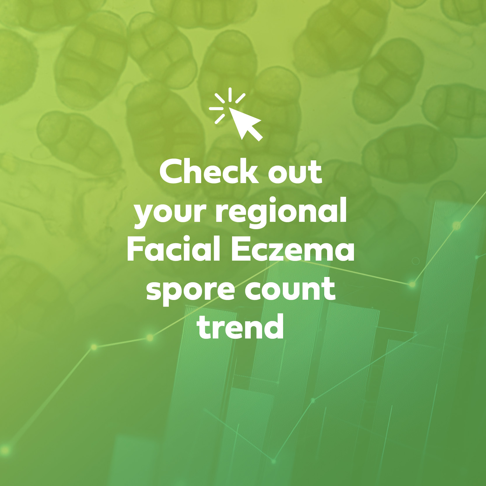 Beef - Here's the facial eczema spore count trends from Awanui ...