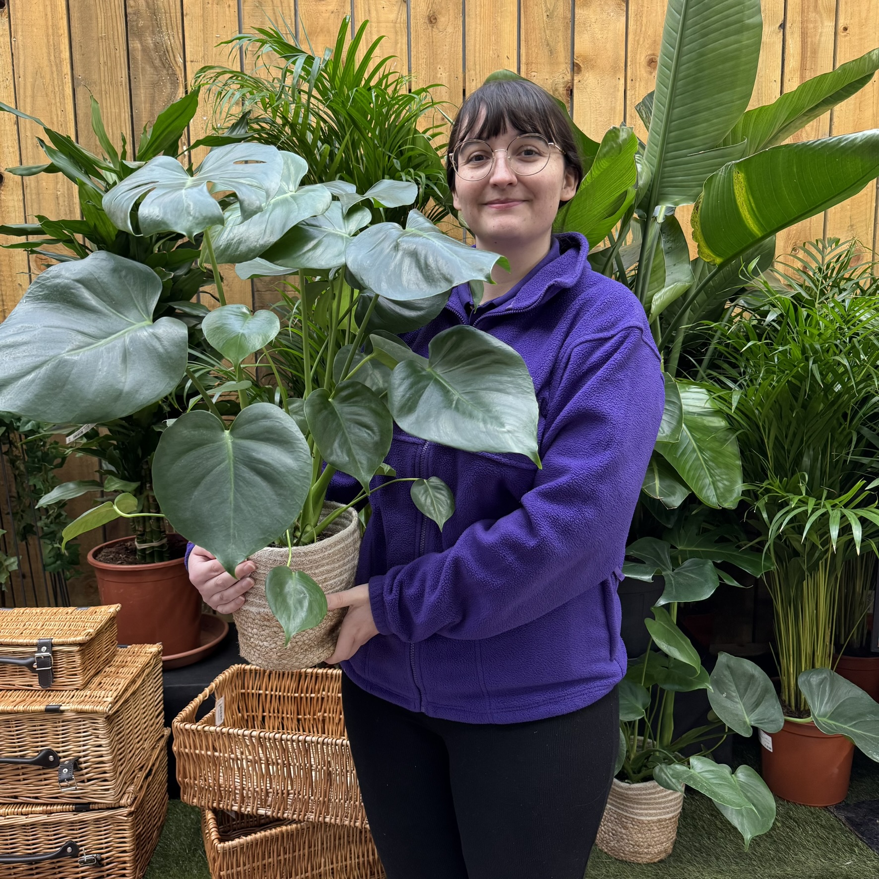 🌿🪴 Happy Houseplant Week... - Coolings Potted Garden Nursery