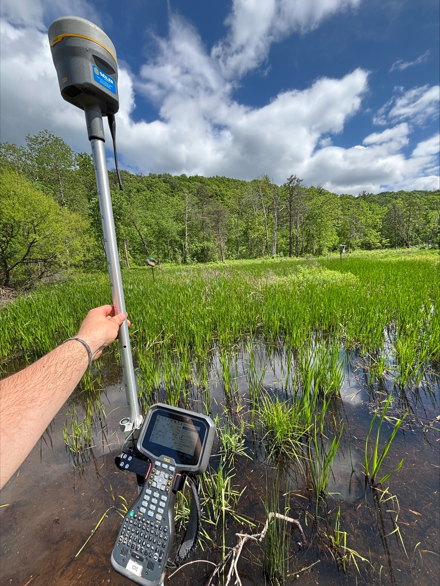 クローバー Ducks Unlimited enhances 1,600 acres of Pennsylvania wetlands