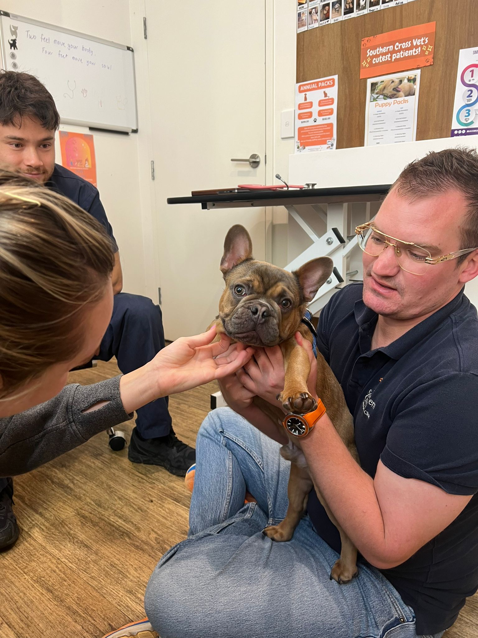 🐾 Meet Archie,... - Southern Cross Veterinary Clinic Sydney | Facebook