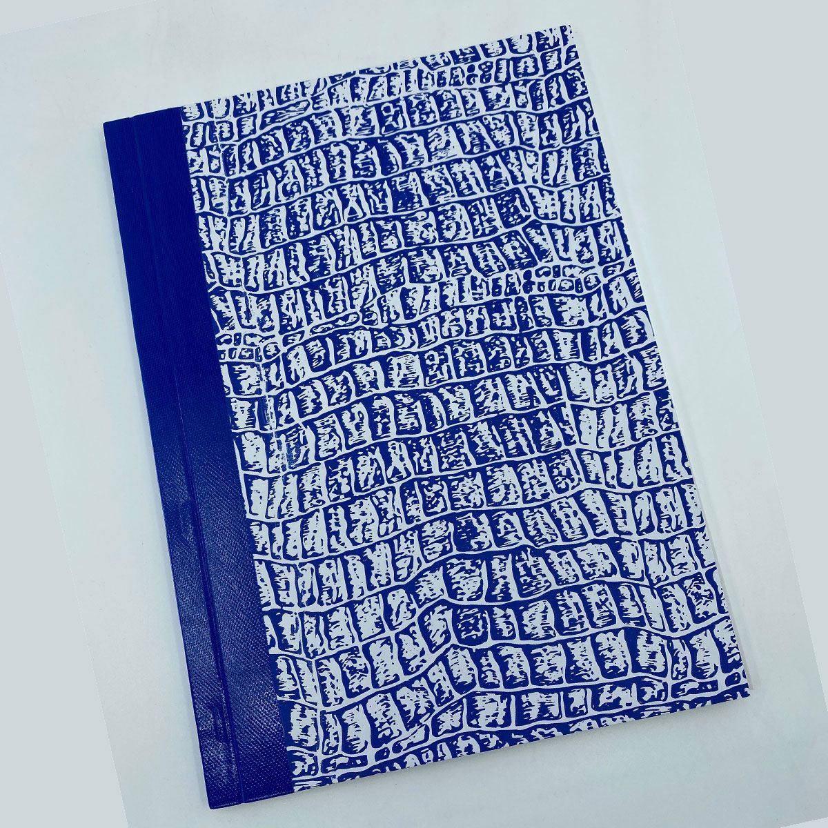 Blue Ink Group