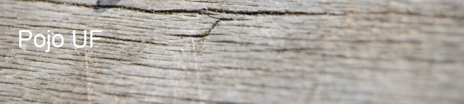 Pojo Ungdomsförening rf | Raseborg