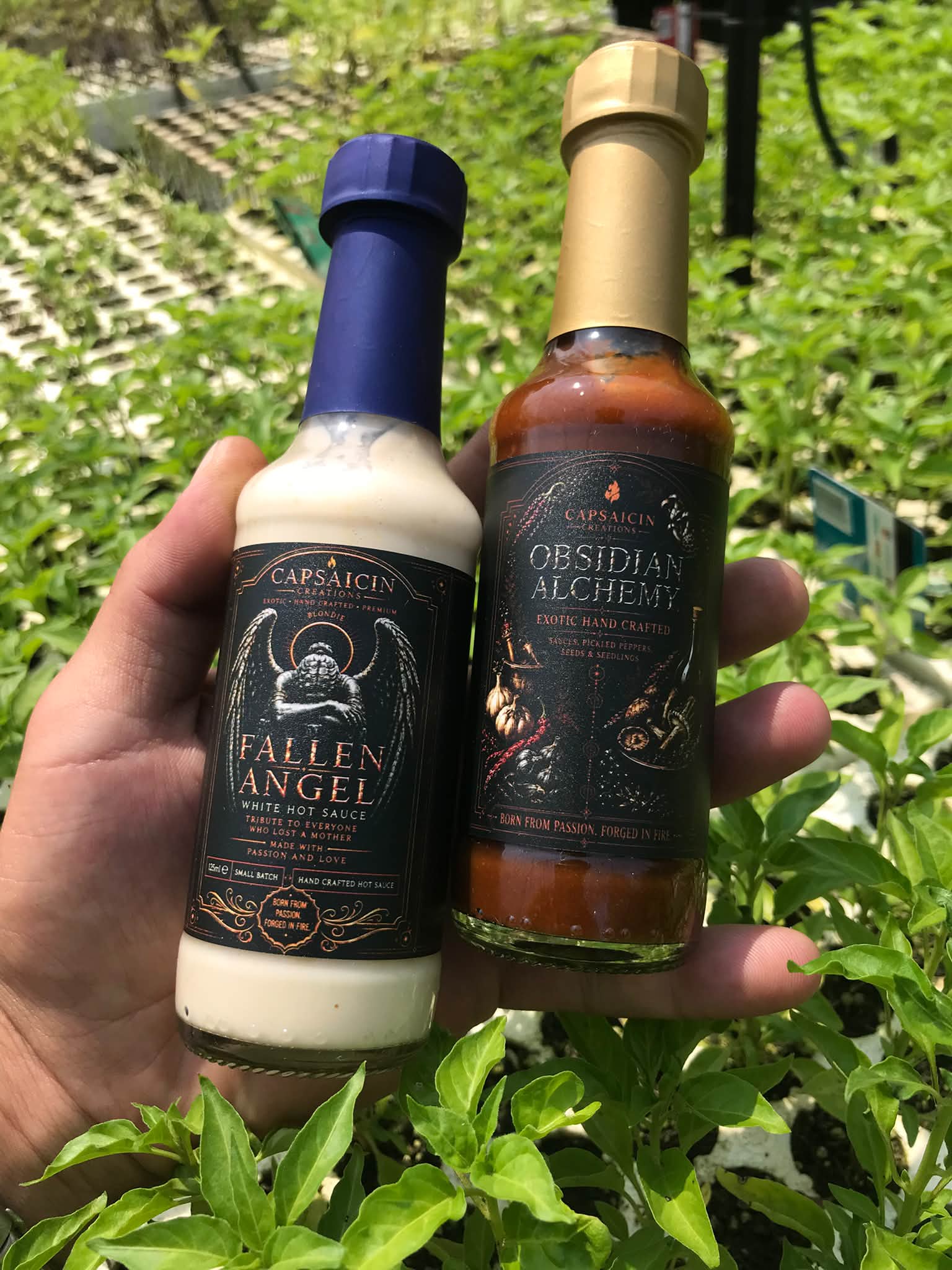 Obsidian Alchemy and Fallen Angel hot sauces with unique ingredients