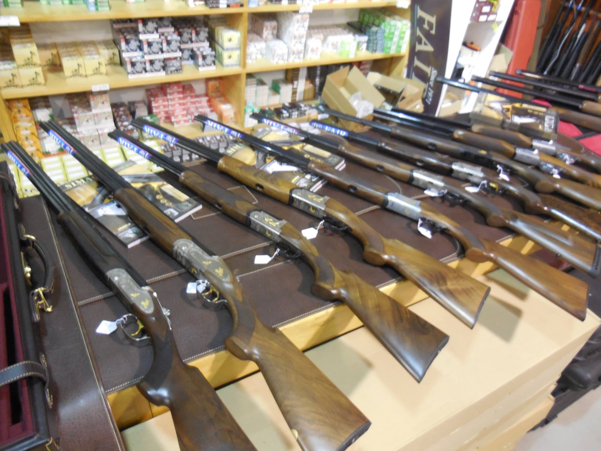 Sarl Bernad Et Fils Pêche Chasse Loisirs 81