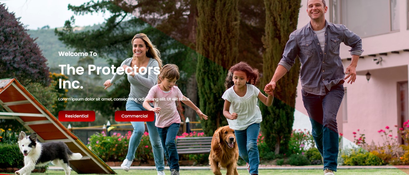 The Protectors Inc. | Atlanta GA