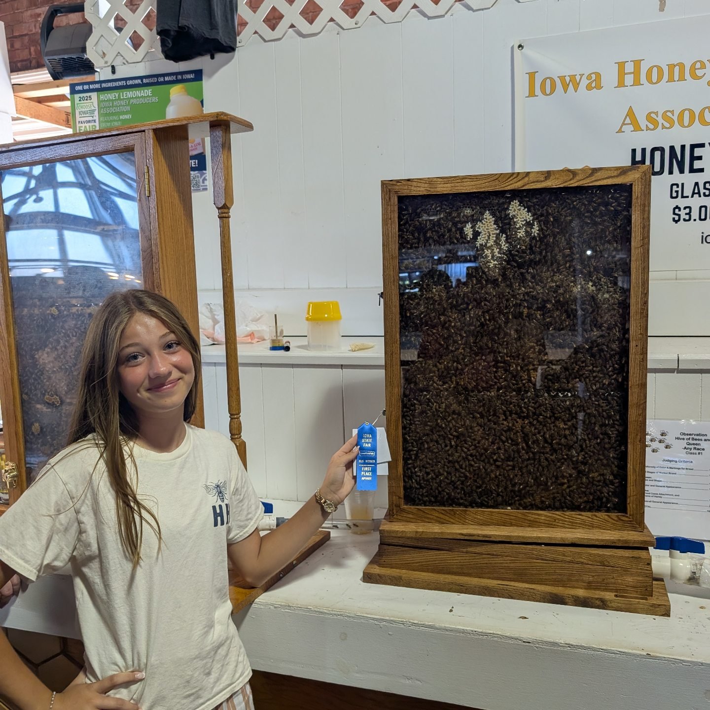 The Holton - We brought home the blue ribbon for the observation hive ...