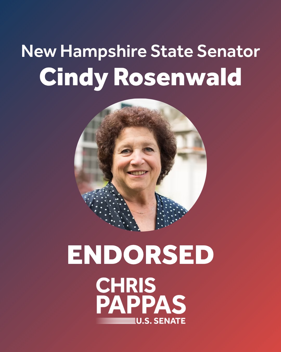 Chris Pappas - Senator Cindy Rosenwald has been a... | Facebook