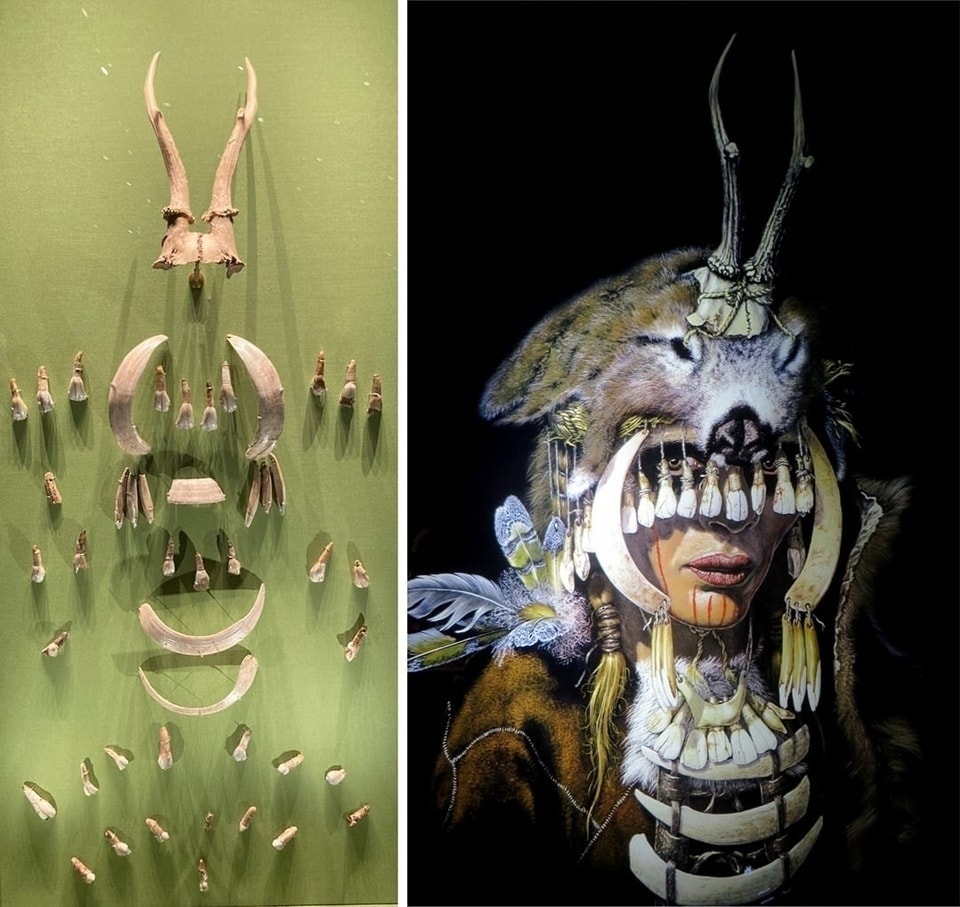 Ancient shaman remains found in Germany reveal prehistoric