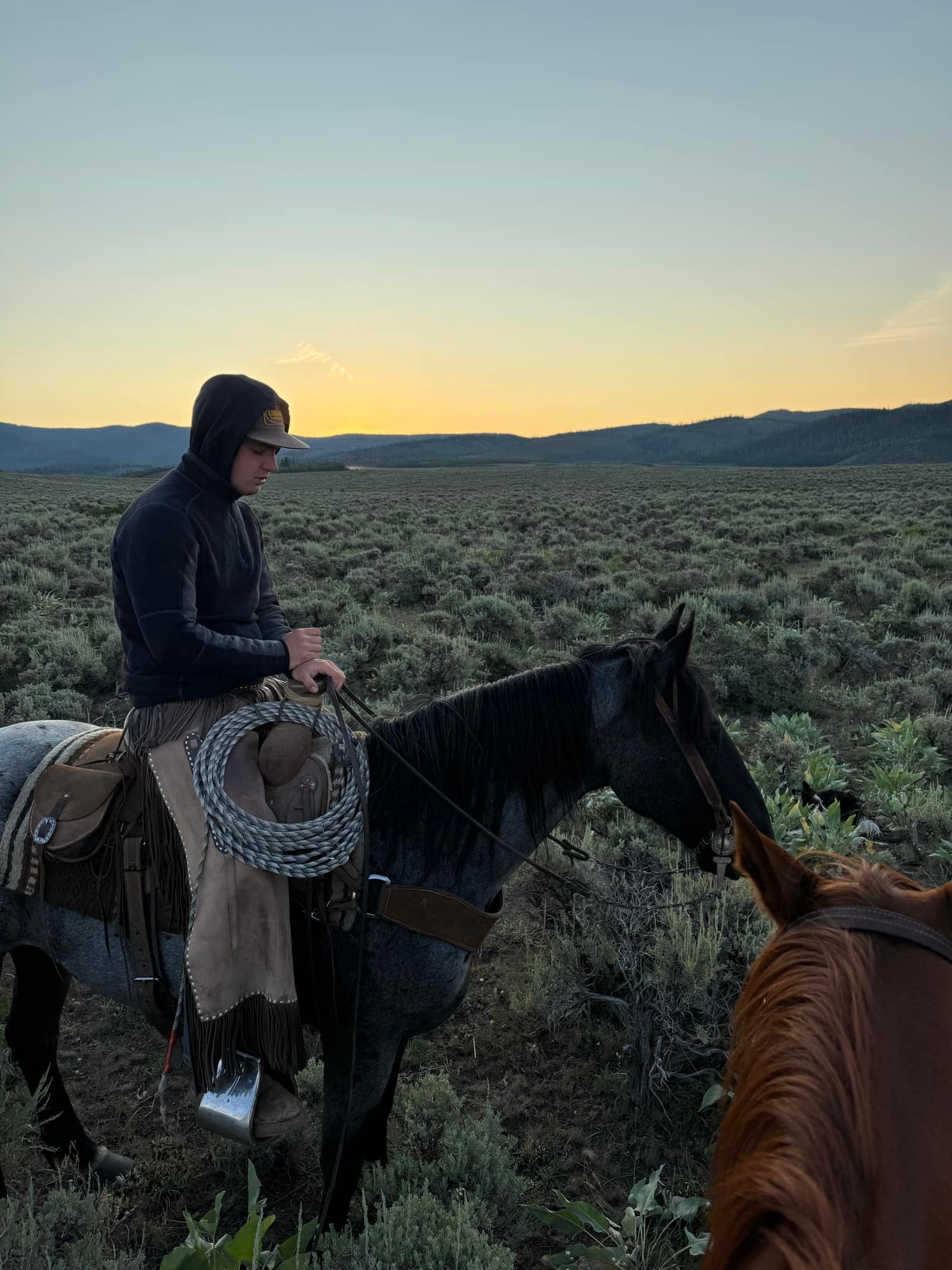 Condict and Sons Cattle Company