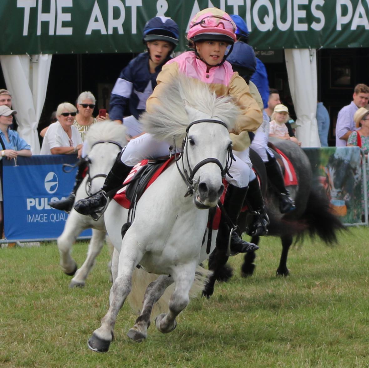 Shetland - This is where you can catch the Shetland Pony Grand National ...