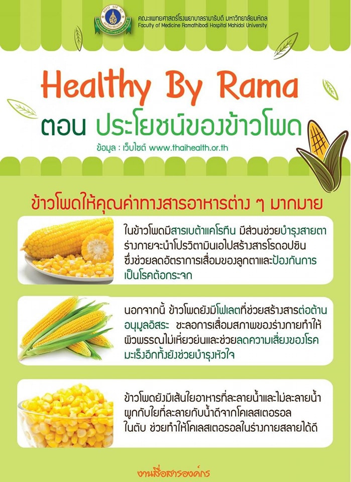 Corn Firm & Fit น้ำนมข้าวโพด - Fruit Time