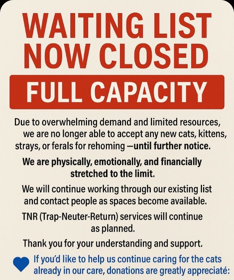 Curated visual reference: Fresh Look at Petsearch Important Update We Re Not Only At Full Capacity