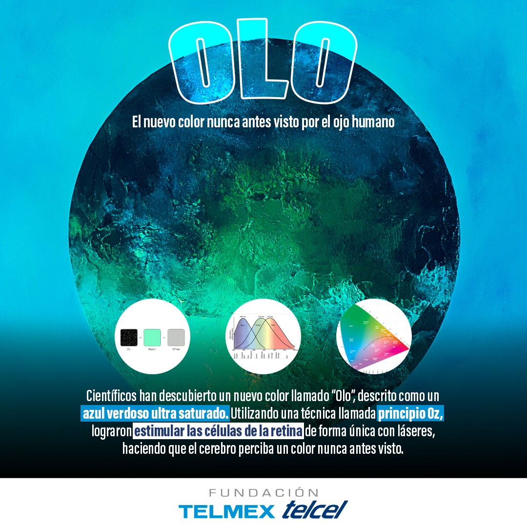 Fundación Telmex - Telcel... - Fundación Telmex - Telcel