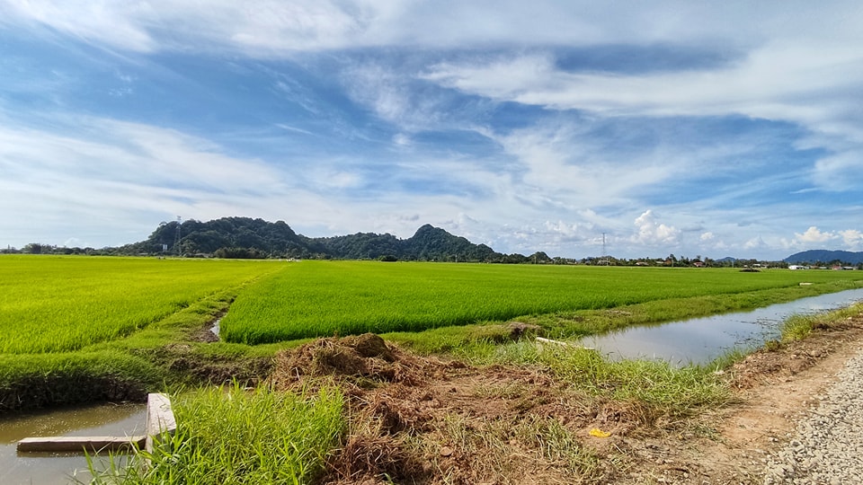 Jual Beli Tanah dan Rumah Kedah Perlis | ️ Tengah cari jersi khas untuk ...