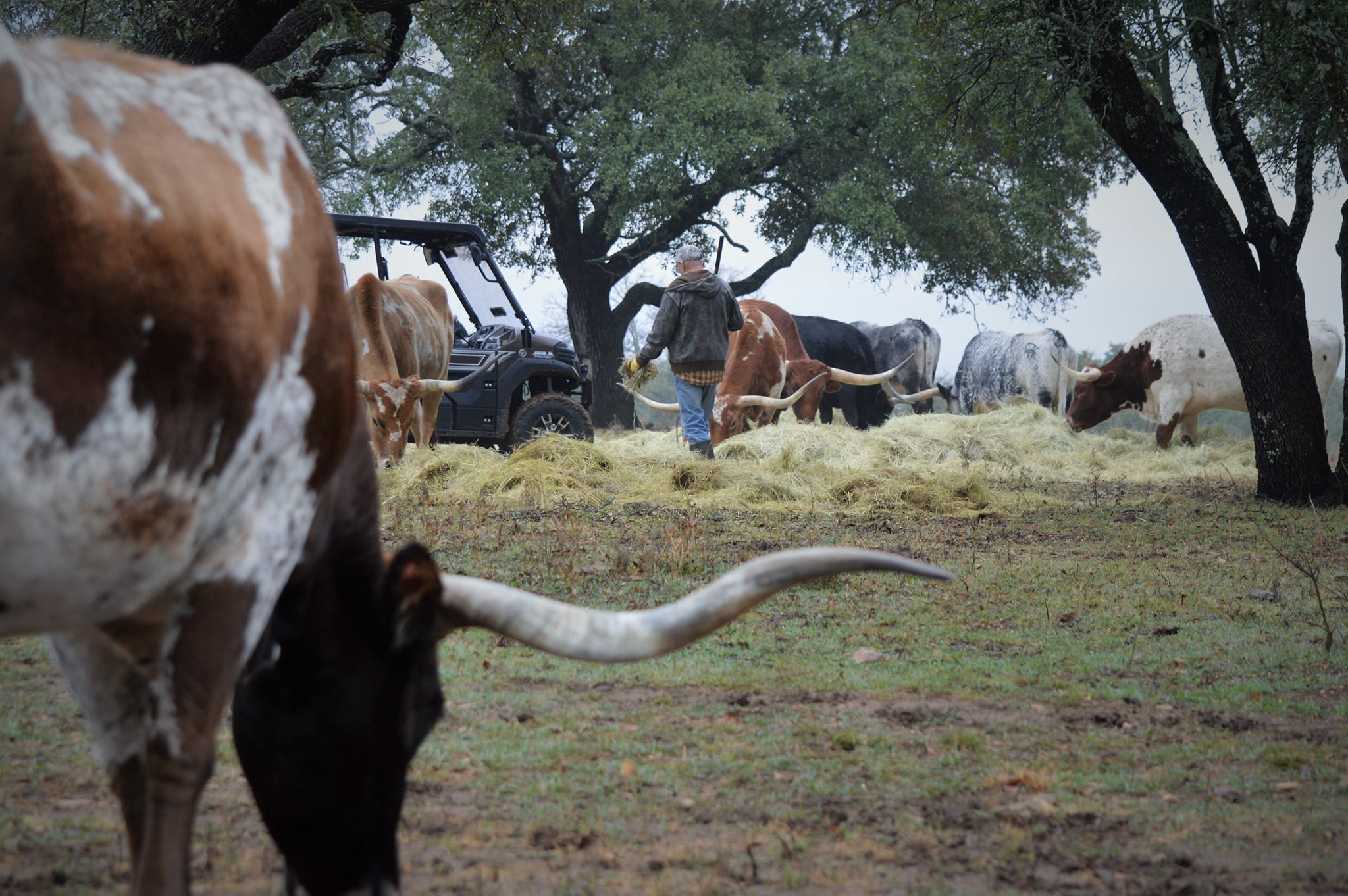 Windy Ridge Ranch added a new photo. - Windy Ridge Ranch