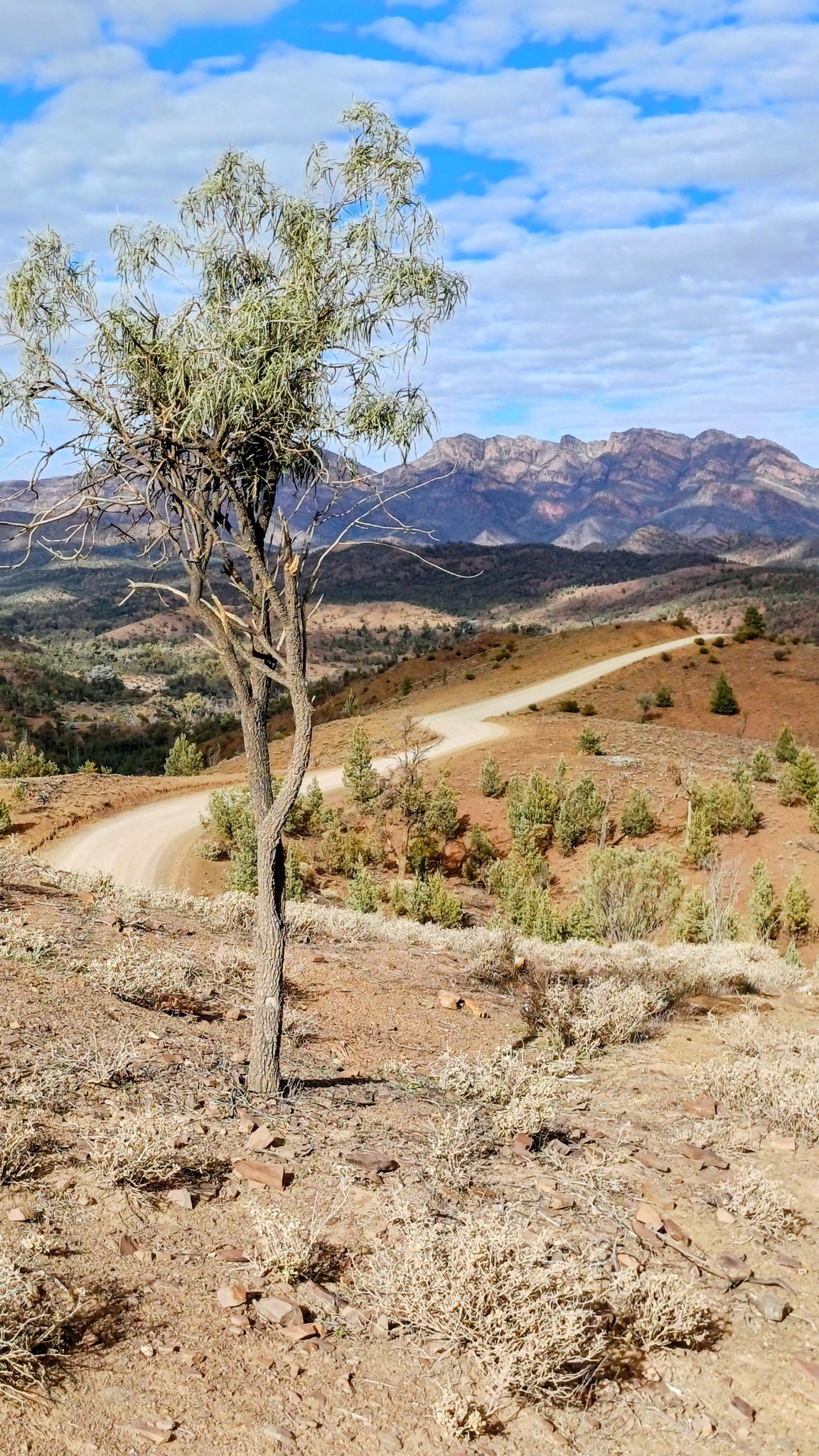 Roger - One of my very occasional landscape shots. This is the Heysen ...