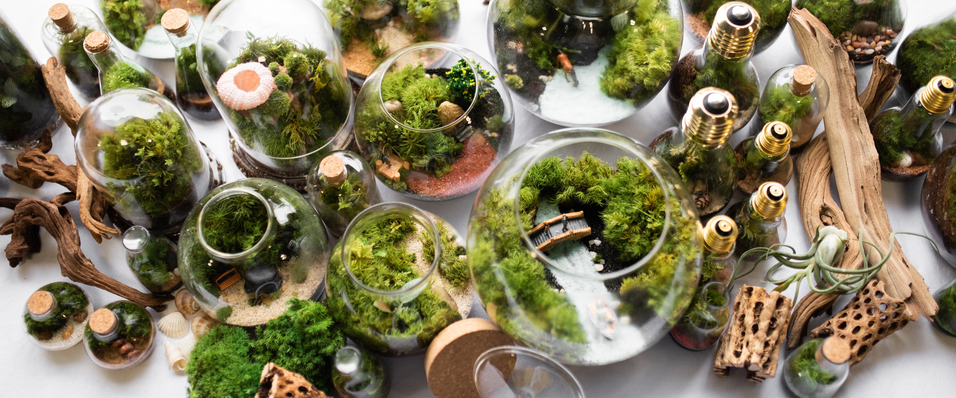 Creating spaces that feel alive — without adding maintenance. This ...