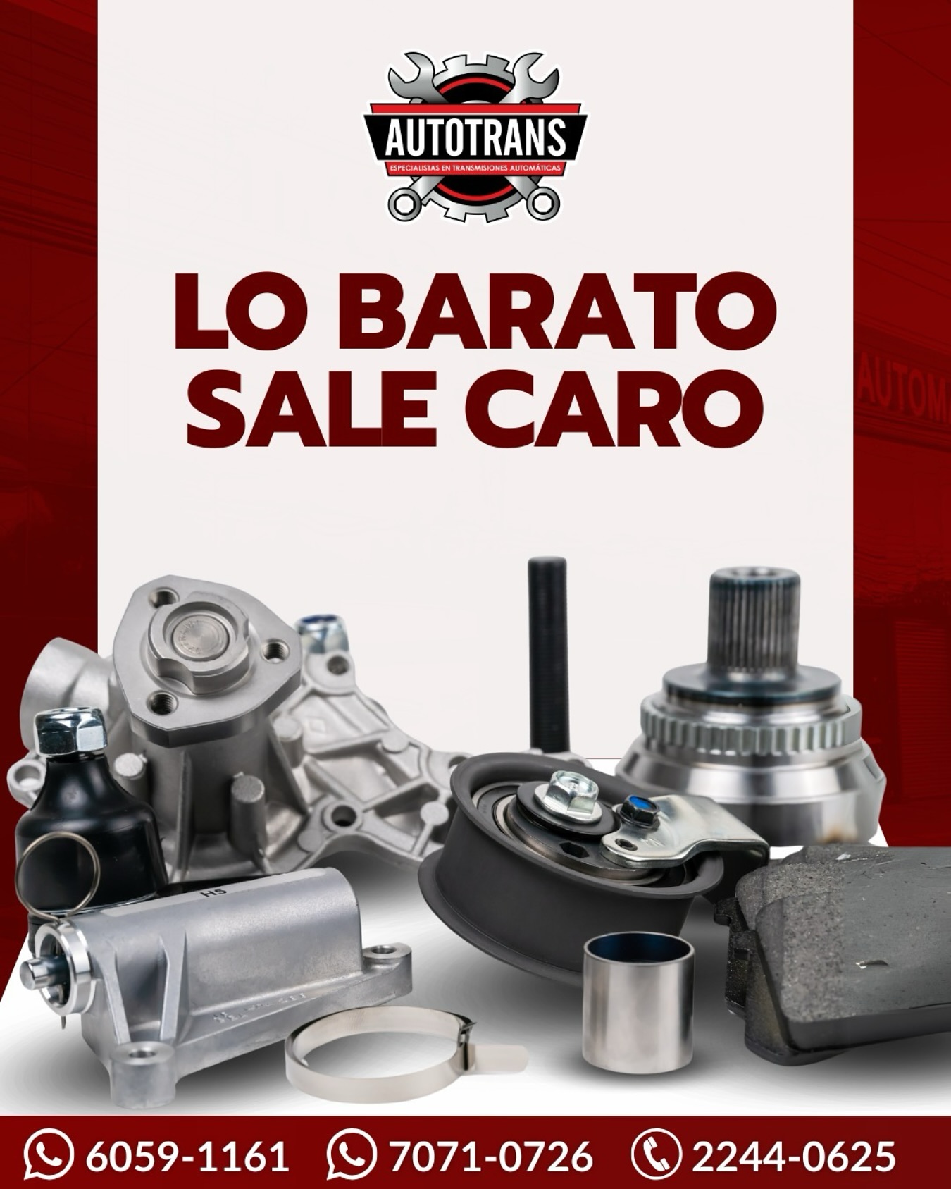 Kit De Rodamientos Y Sellos Para Freno De Estacionamiento Ford Montado En Transmisión (2003 En Adelante) ZF