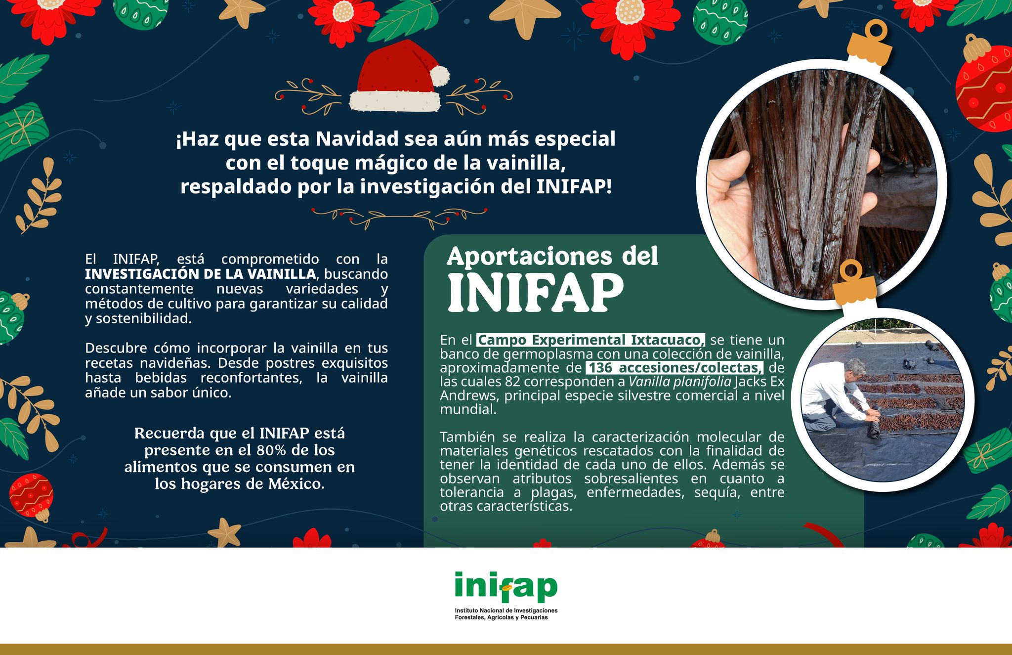 INIFAP - En esta temporada decembrina, descubre cómo la...