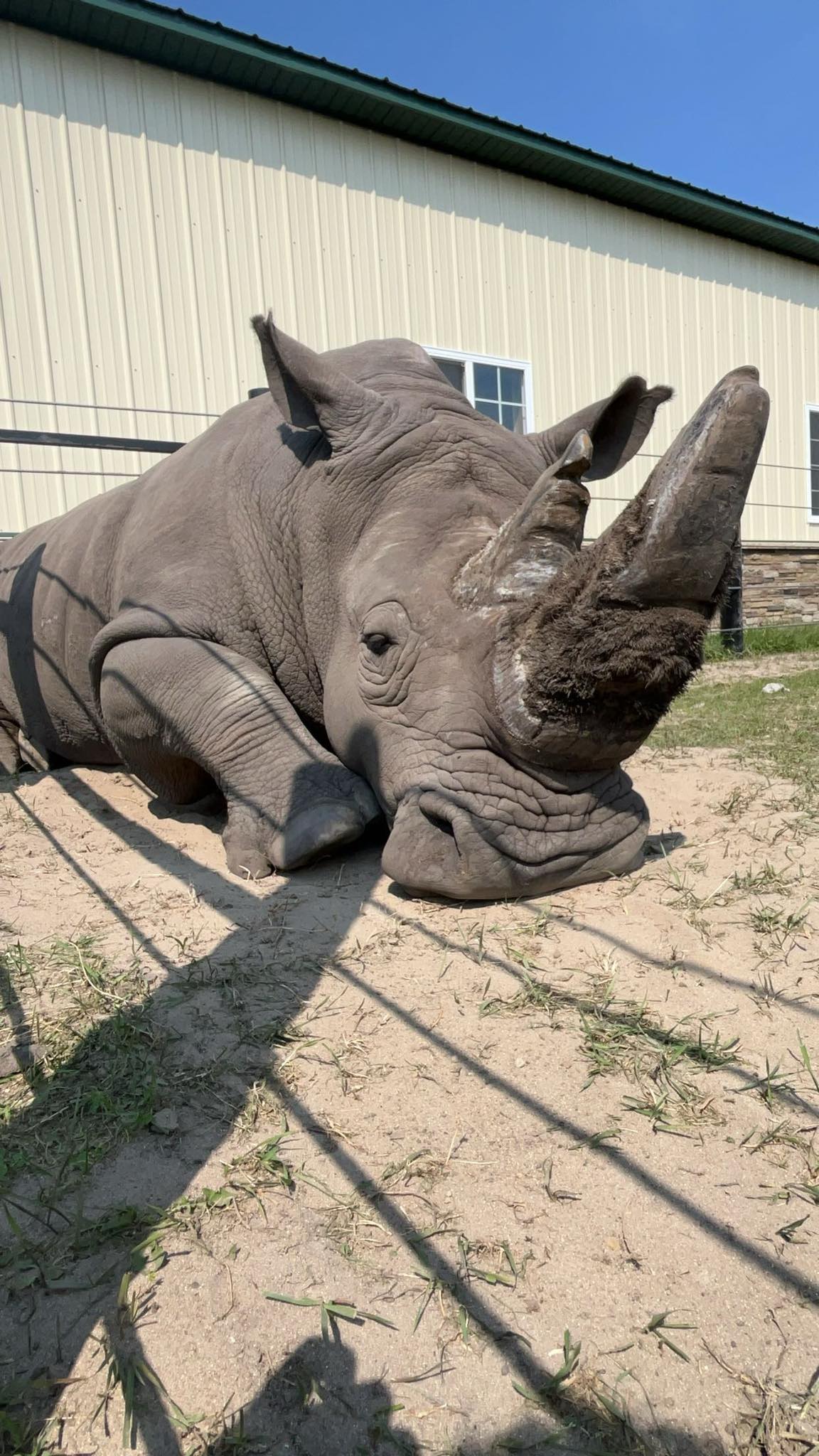 Tickets are NOW LIVE for Wine-os with Rhinos! 🍷🦏 This exclusive