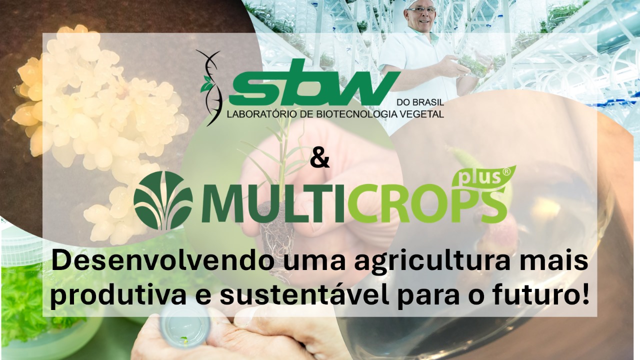 SBW - VAGA Gerente de Producao Período Noturno SBW do Brasil (SBW) e ...