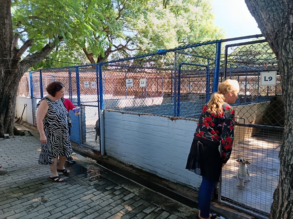 Gereformeerde Kerk Rustenburg - Wes | Rustenburg
