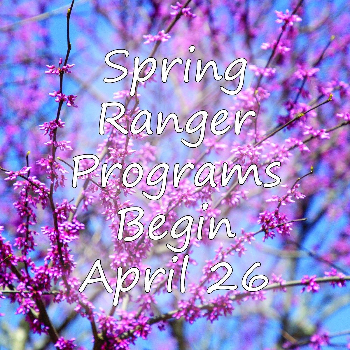 Spring Ranger Programs... - Gettysburg National Military Park | Facebook