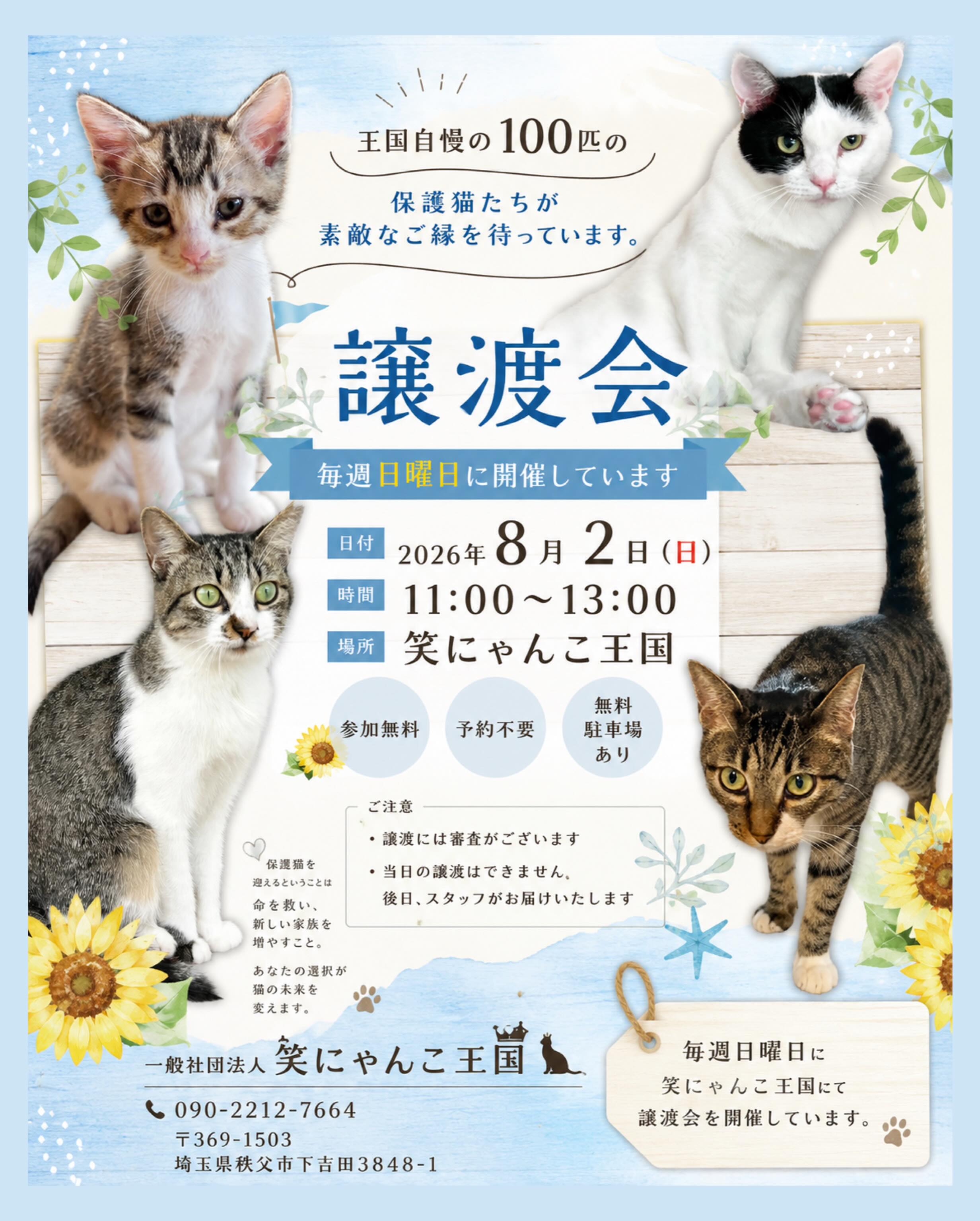 笑にゃんこ王国 - 笑にゃんこ王国 added a new photo.