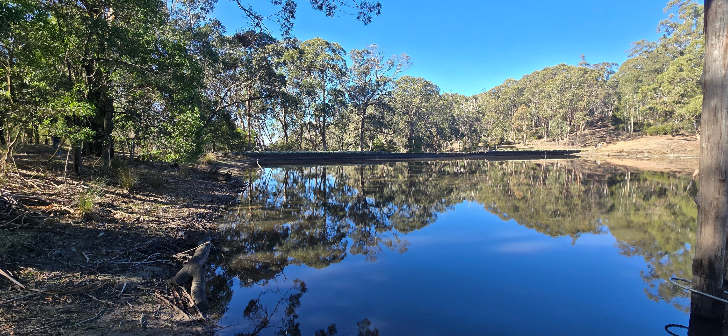 Victorian - Trawool Reservoir circuit walk in the Tallarook State ...