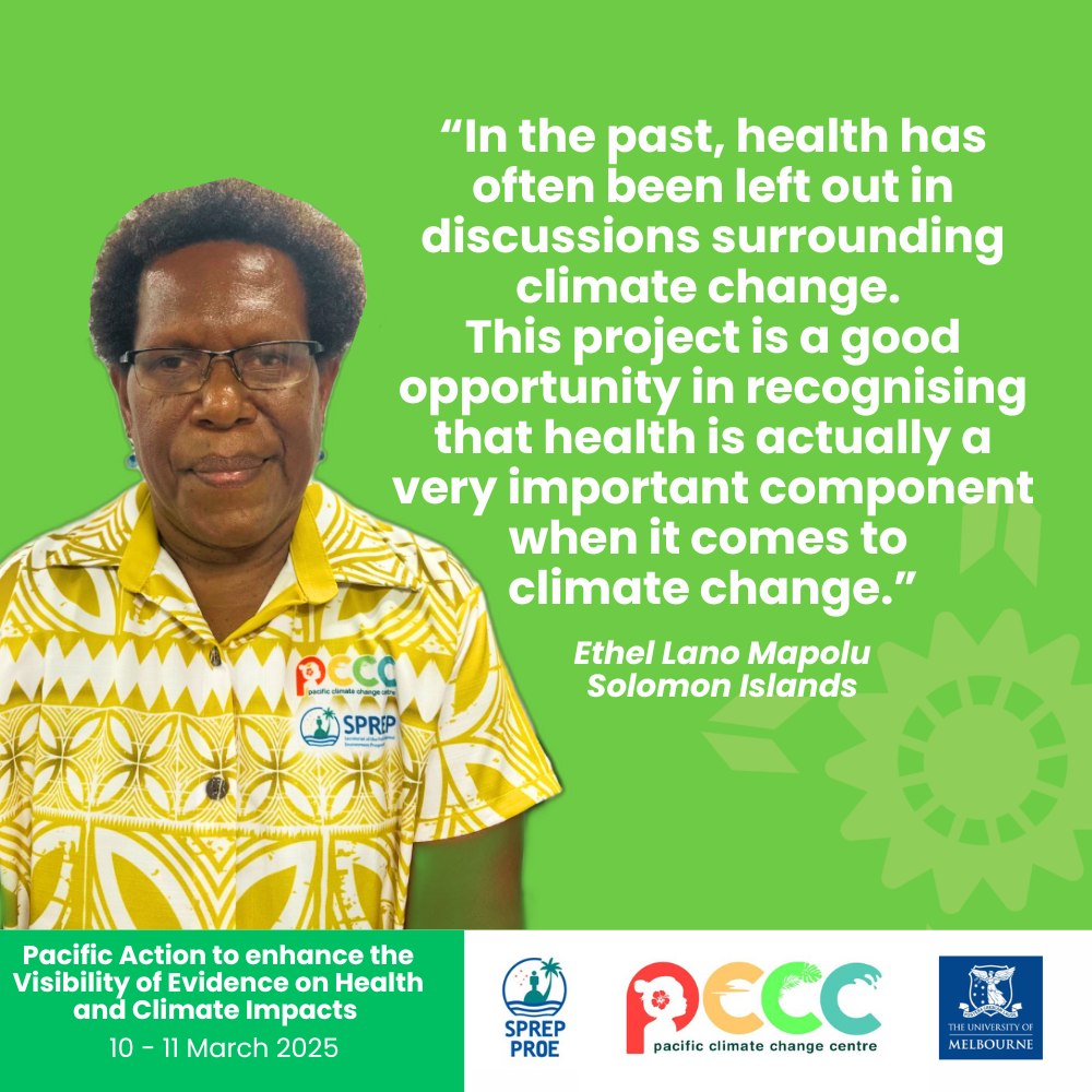 #PacificVoices from the PAVE Inception Meeting 🌱 PAVE – Health: Pacific ...