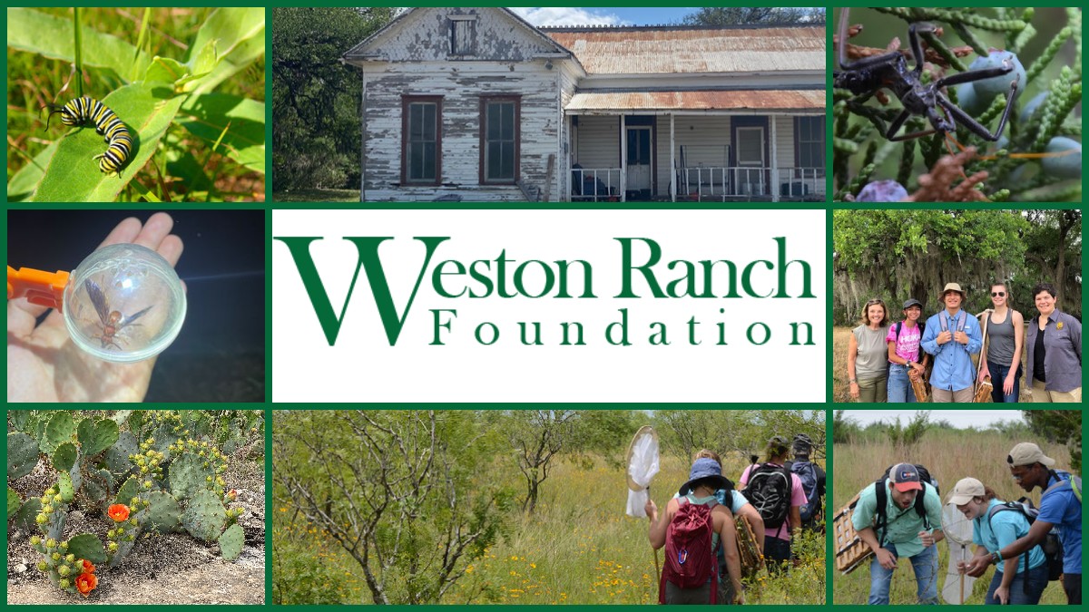 The Weston Ranch Foundation | Marion TX