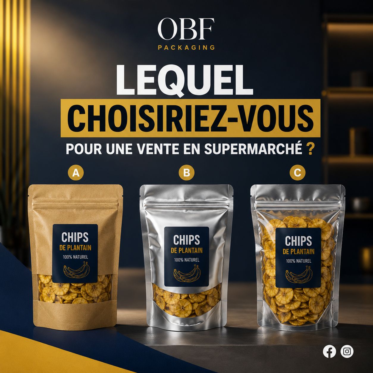 Chips standard de 100 francs