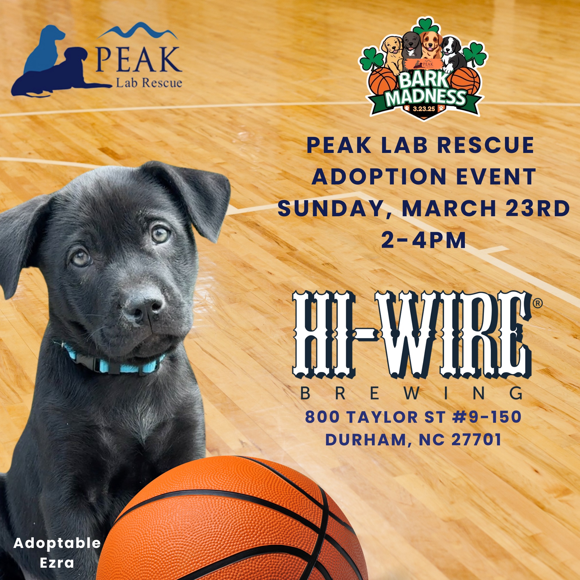 Peak Lab Rescue