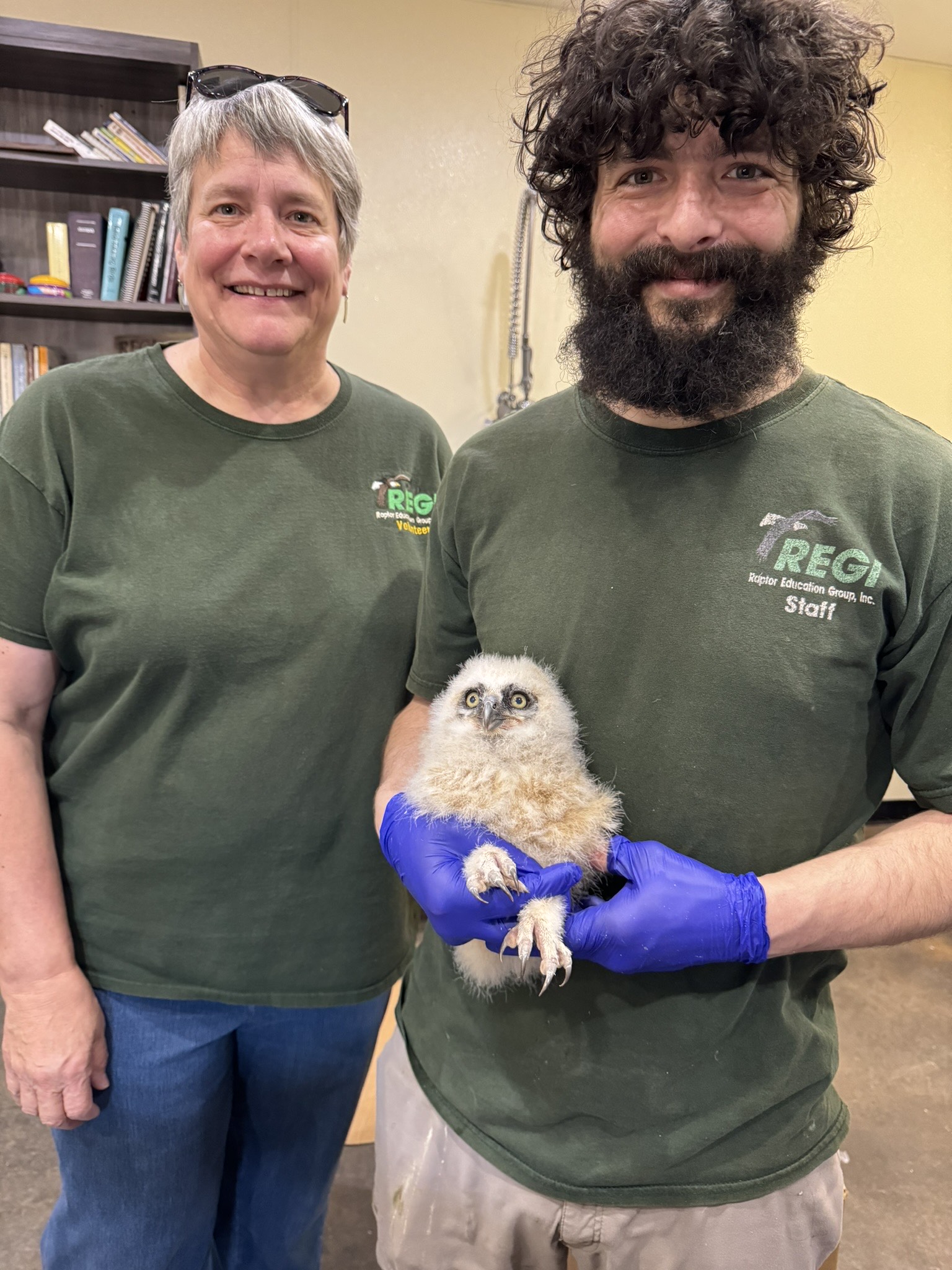 Raptor - Our fabulous transporter, Dawn Stein, transported a young ...