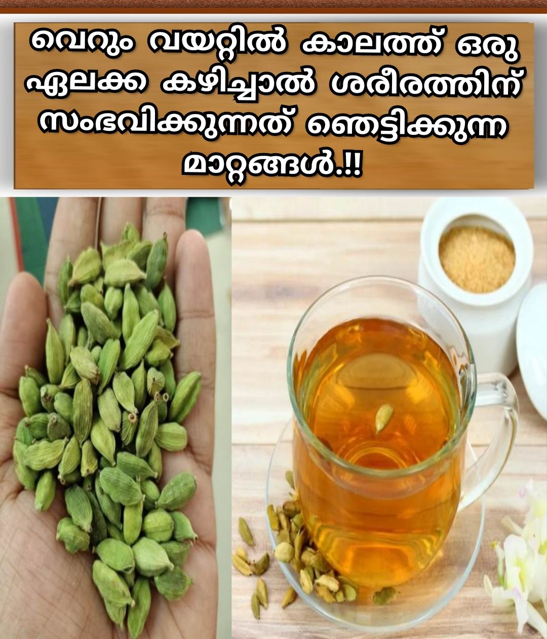 𝗡𝗮𝘁𝘂𝗿𝗲 𝗵𝗲𝗮𝗹𝗶𝗻𝗴 Elaichi- the queen of spices, also known as cardamom is obtained from the seeds of various plants that belongs to the family Zingiberaceae. There are two kinds, the green cardamom