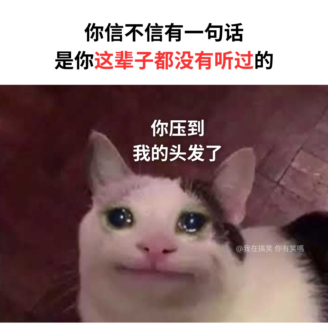 我在搞笑 你有笑吗？ - 这句话挺好的，有*那个*生活 又有头发 . IG: areyoulaughing.meme...