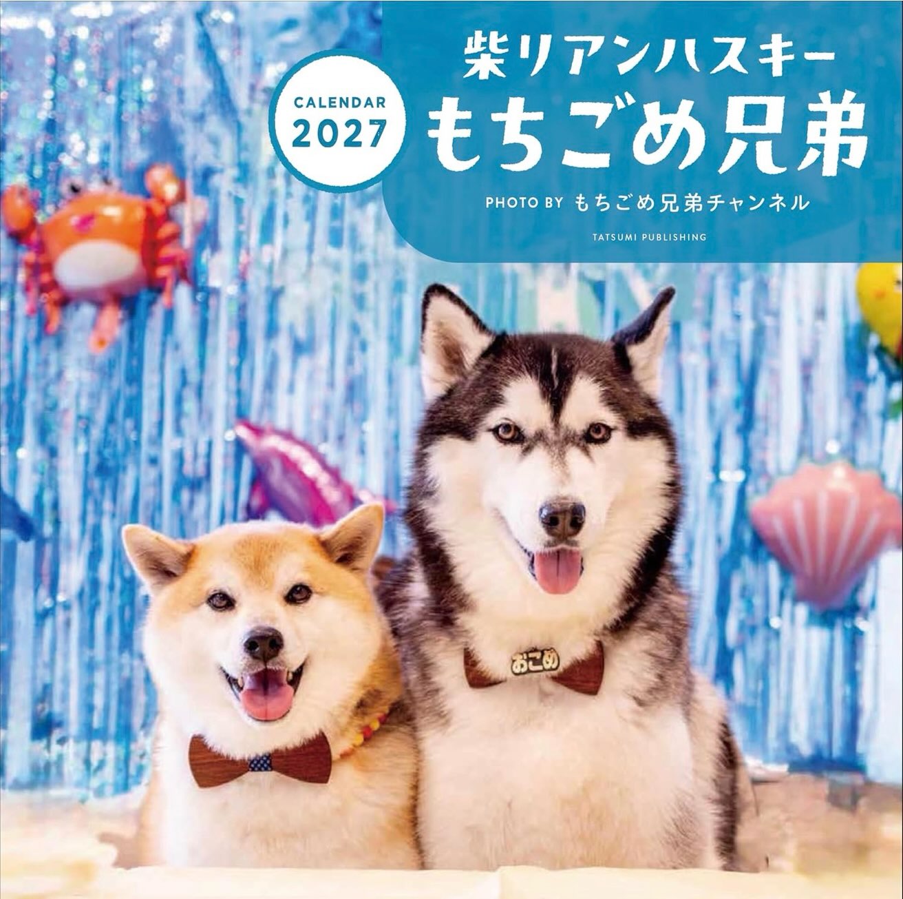 もちごめ 柴リアンハスキーもちごめ兄弟