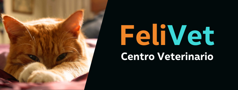 Clínica Veterinaria Felivet | Neuquén