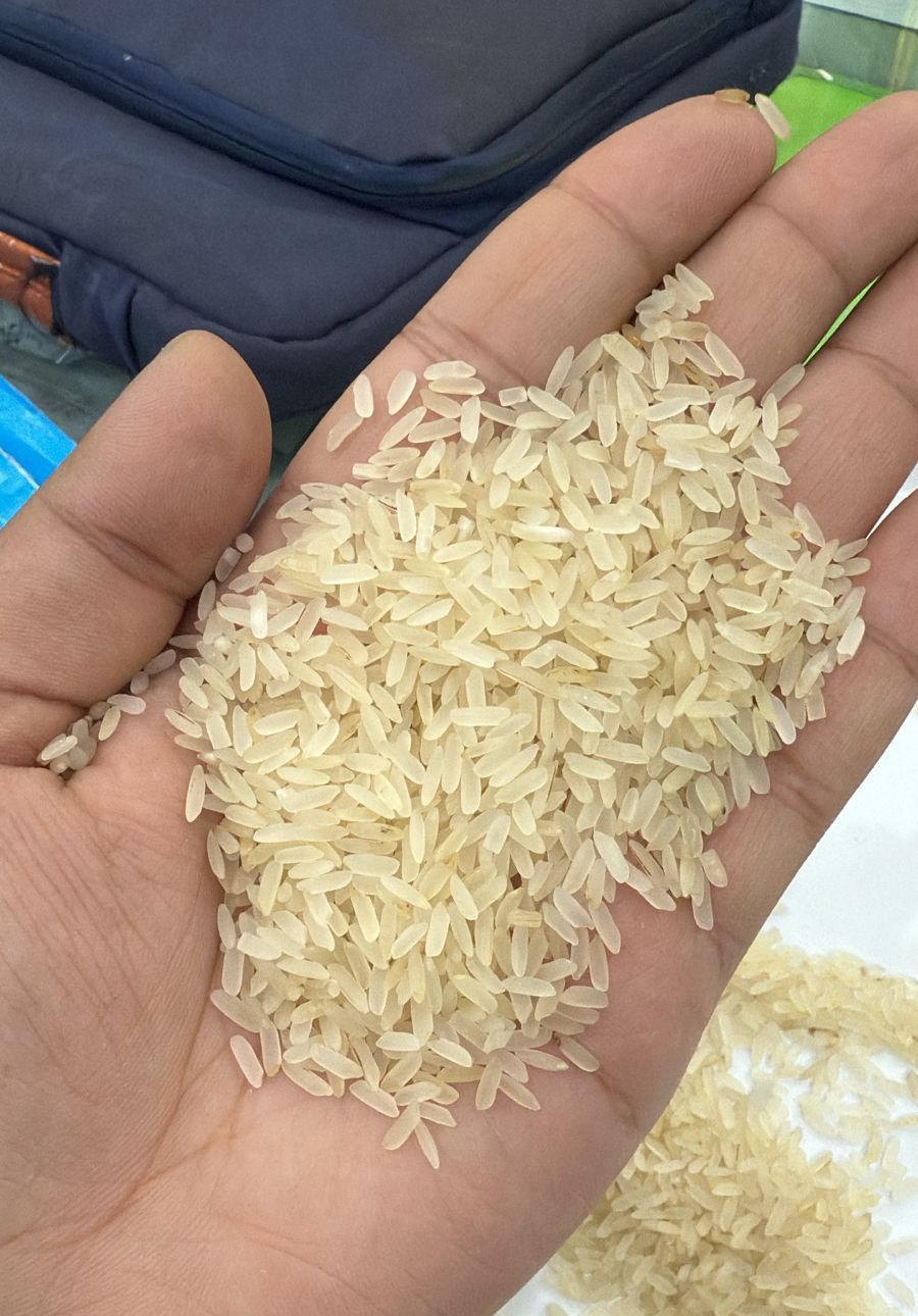 ATC - 🍚 𝗥𝗜𝗭 𝗕𝗟𝗔𝗡𝗖 𝗘𝗧 𝗥𝗜𝗭 𝗣𝗔𝗥𝗔𝗕𝗢𝗜𝗟𝗘𝗗 ( 𝗟𝗢𝗡𝗚 𝗚𝗥𝗔𝗜𝗡 ) - 𝗗𝗜𝗦𝗣𝗢𝗡𝗜𝗕𝗟𝗘 𝗘𝗡 ...