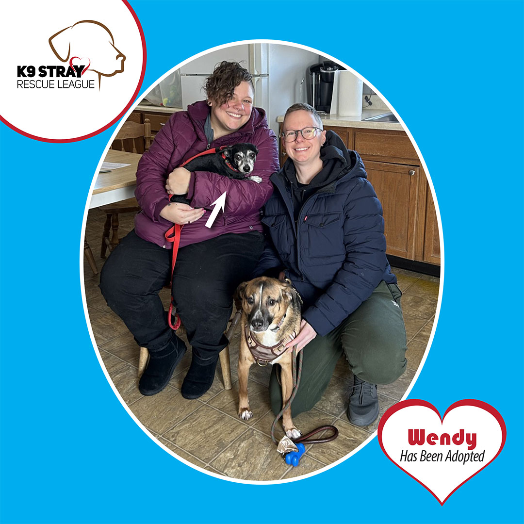 K9 - 🐶 Adoption Announcement!! 🐶 Wendy has been adopted! We are so ...