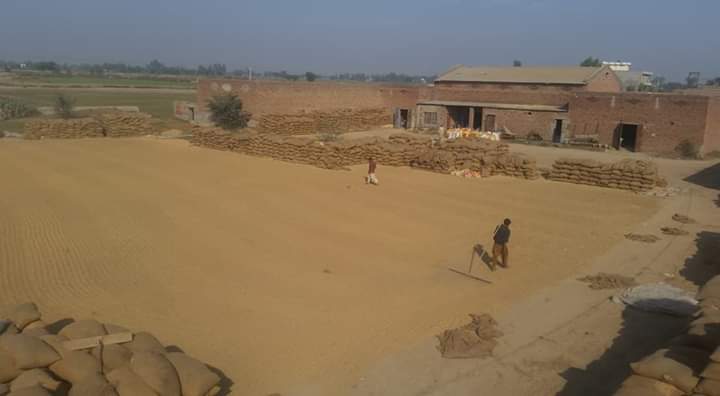 Rana Rice Mills