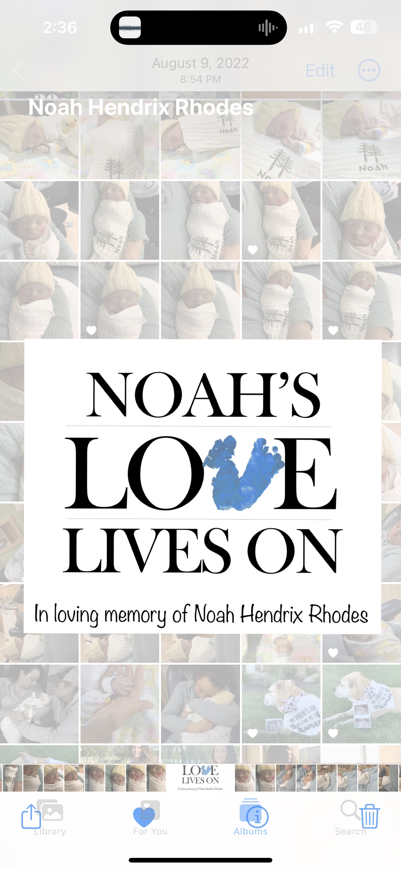 5th Annual Noah’s Love Lives On