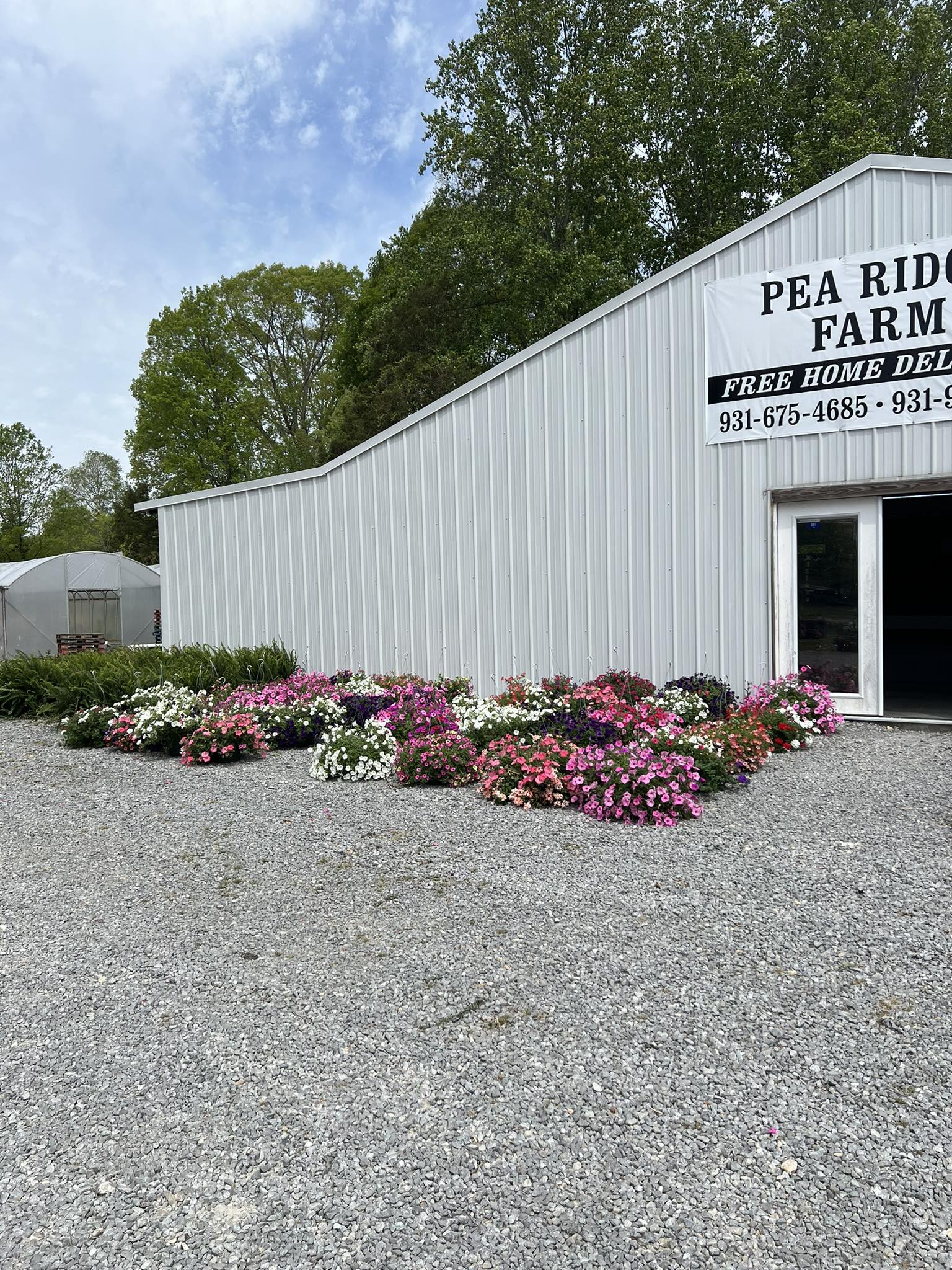 Pea Ridge Farm