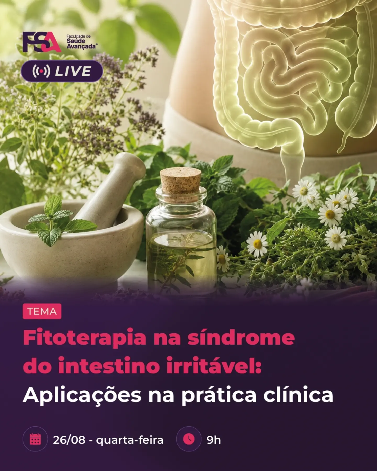 l carnitina causa problemas intestinais A L-Carnitina é um importante antioxidante. Estudos indicam que sua suplementação alivia distúrbios do sistema reprodutivo feminino, como SOP, endometriose e amenorreia, exercendo uma influência positiva na fertilidade. Arraste para o lado Is Glycine the Secret pet skin infection support Size:225g