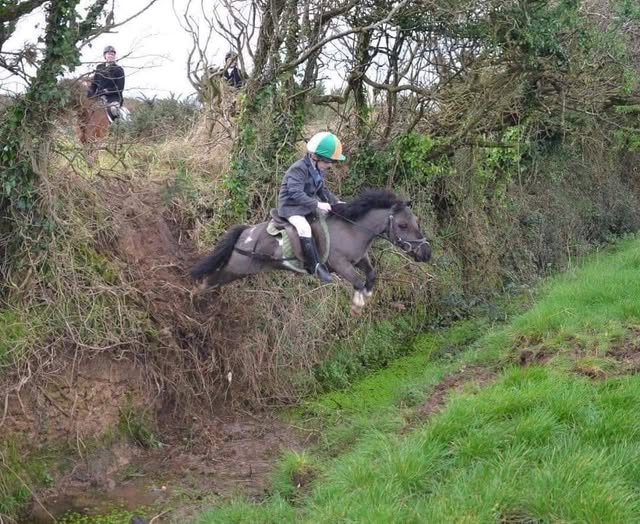 StableExpress - When the buyer asks if the pony is kid safe? - Depends ...